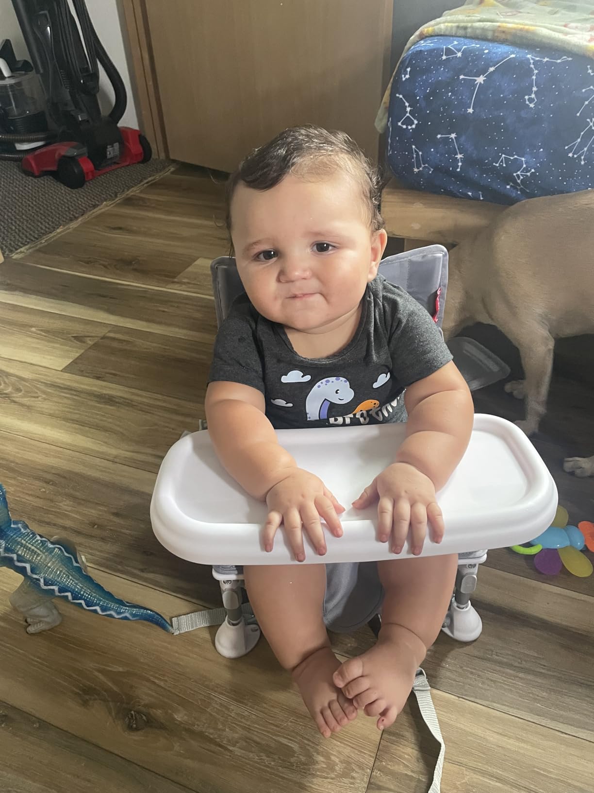Tiny Marvels Baby Chair, Portable High Chair for Travel & Beach, Ages 6M-3Y customer photo 2