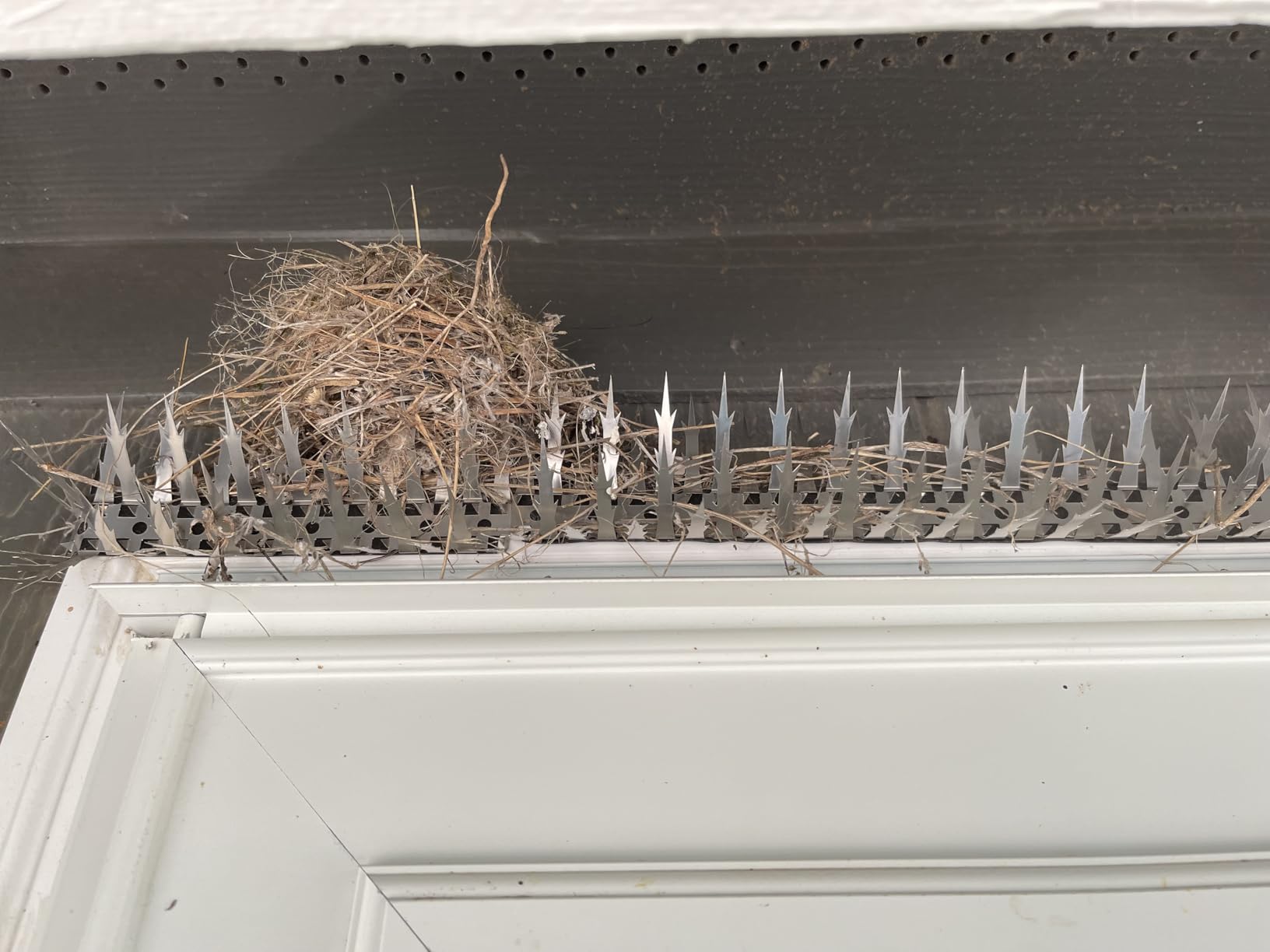 Bird Spikes, 5 Feet Stainless Steel Bird Control Spikes for Outside, Pigeon and Squirrel Blocking Spikes customer photo 1