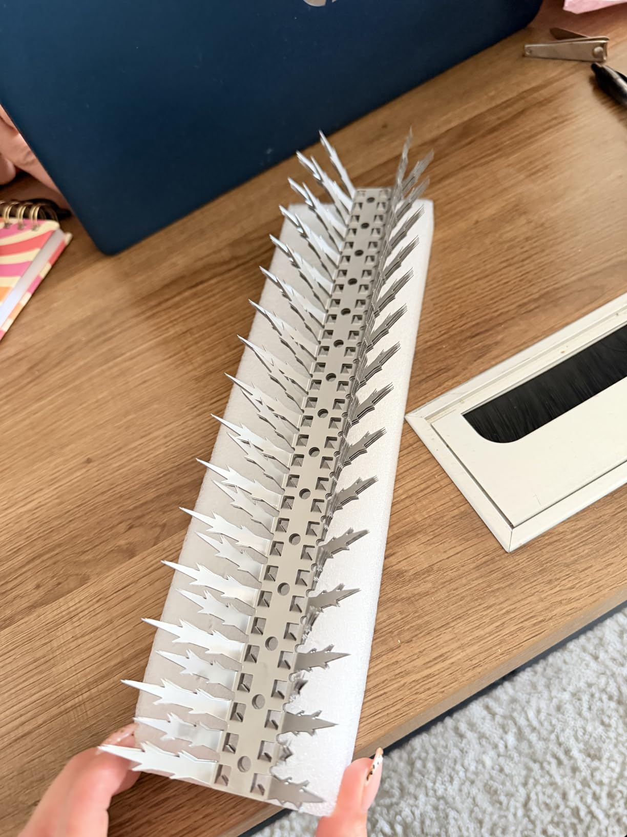Bird Spikes, 5 Feet Stainless Steel Bird Control Spikes for Outside, Pigeon and Squirrel Blocking Spikes customer photo 2