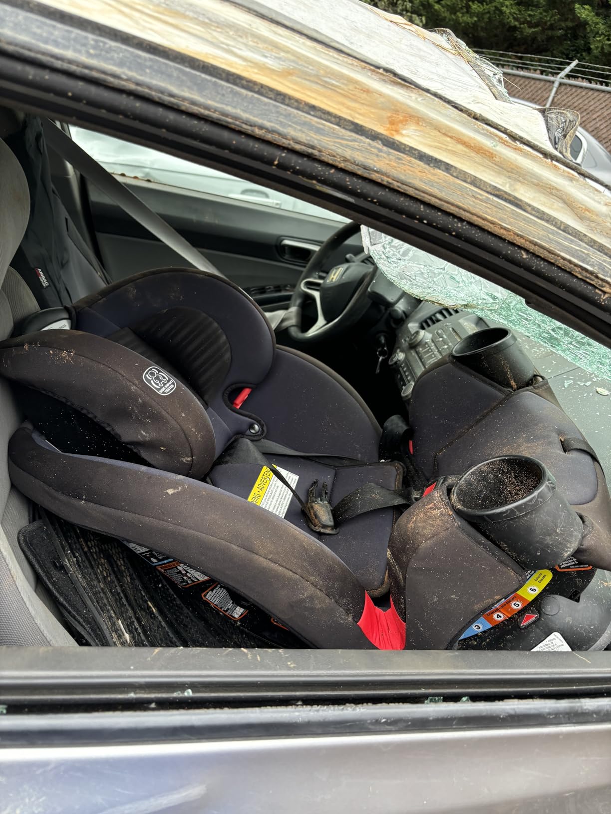 Graco TriRide 3-in-1 Convertible Car Seat, Kipling customer photo 1