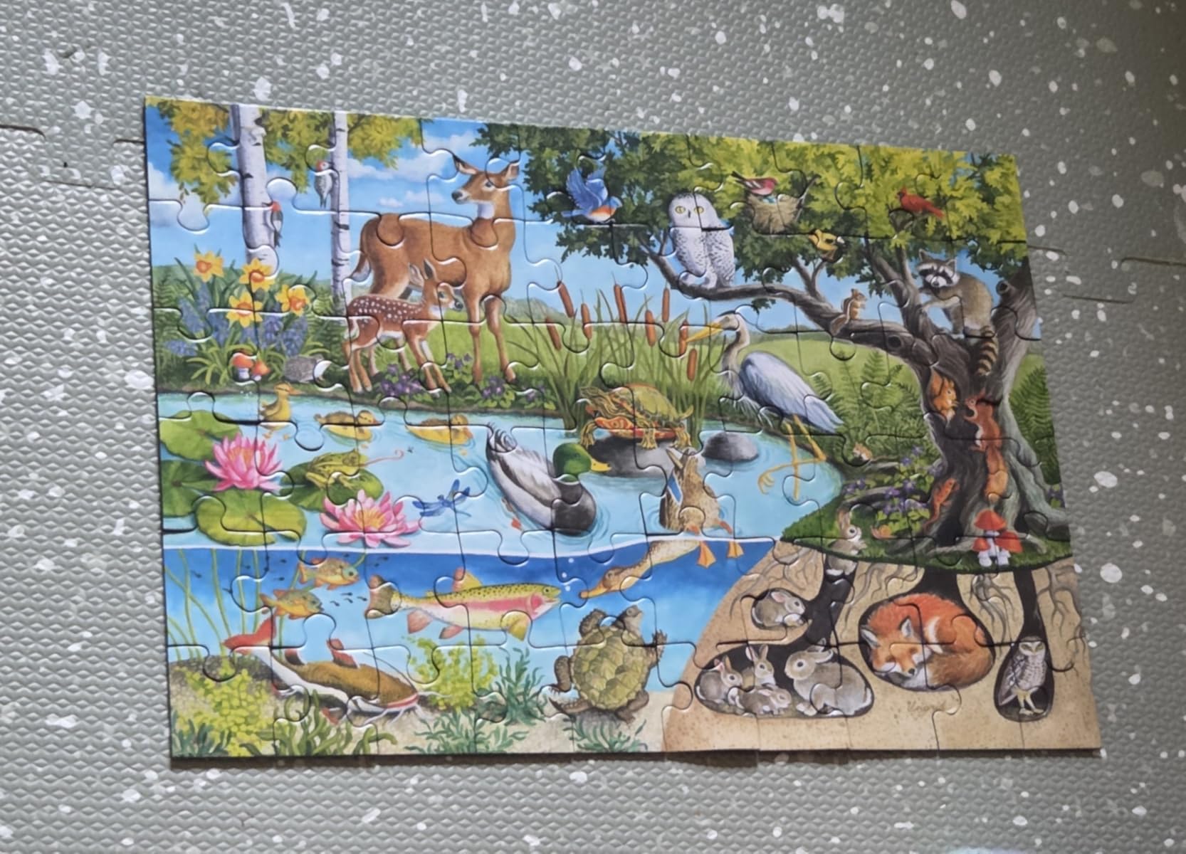 Ravensburger Animals Above and Below - 60 Piece Jigsaw Puzzle for Kids | Explore Nature's Layers | Promotes Problem Solving Skills | FSC-Certified Materials customer photo 1