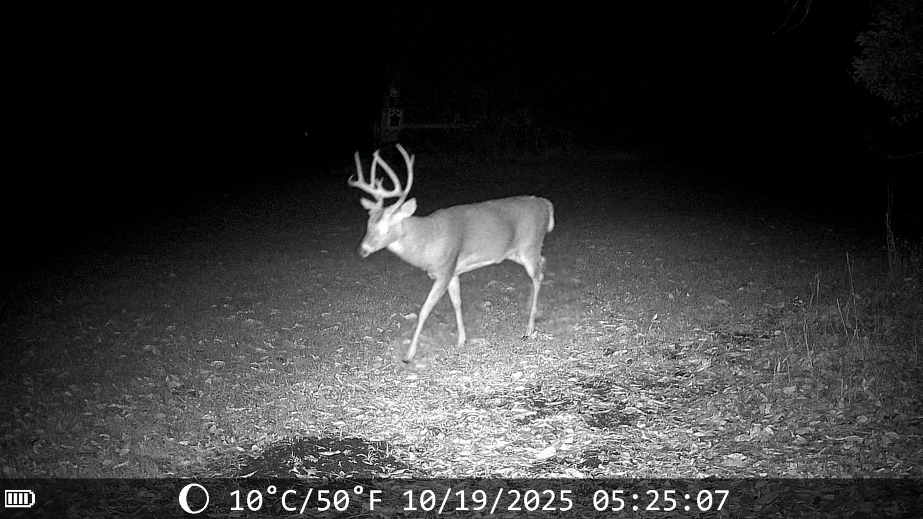 Trail Cameras with Night Vision Motion Activated - WiFi Bluetooth 4K 64MP customer photo 1