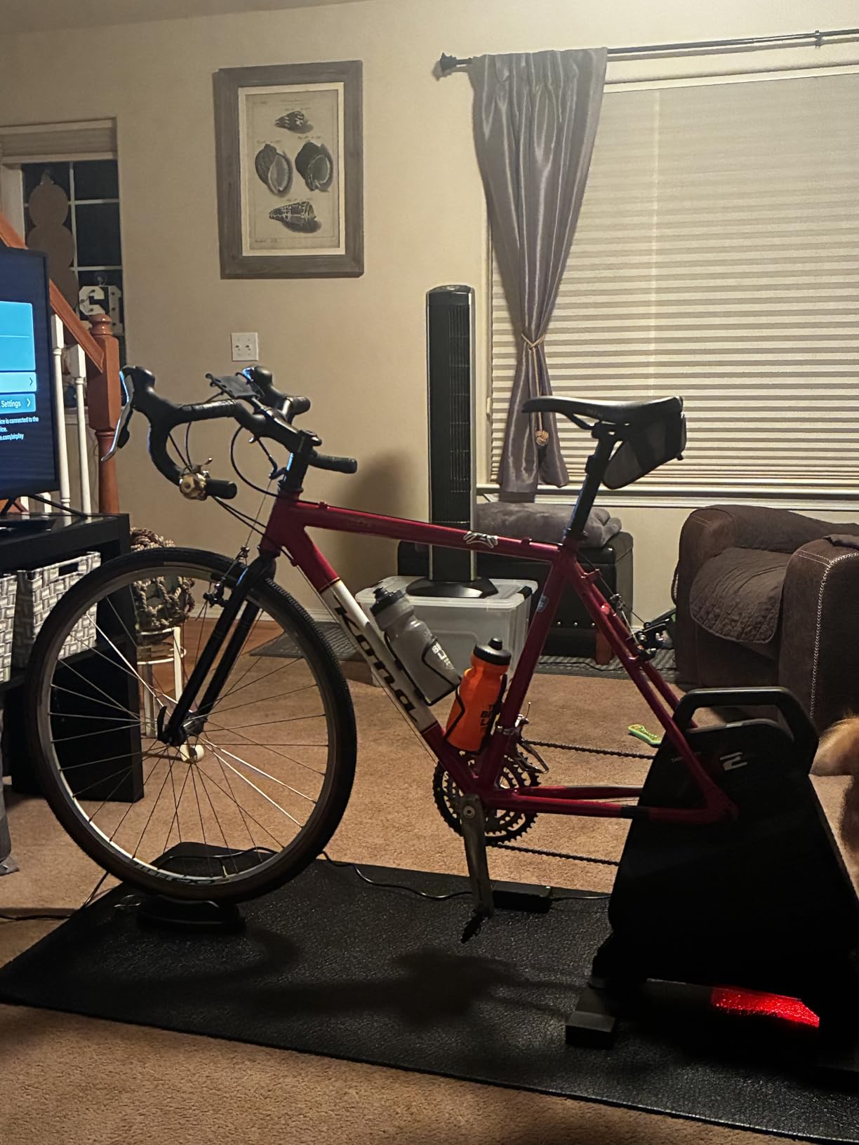 ThinkRider X2Max Smart Bike Trainer，2000w，Simulates 18% Slope，ANT + & BLE customer photo 1