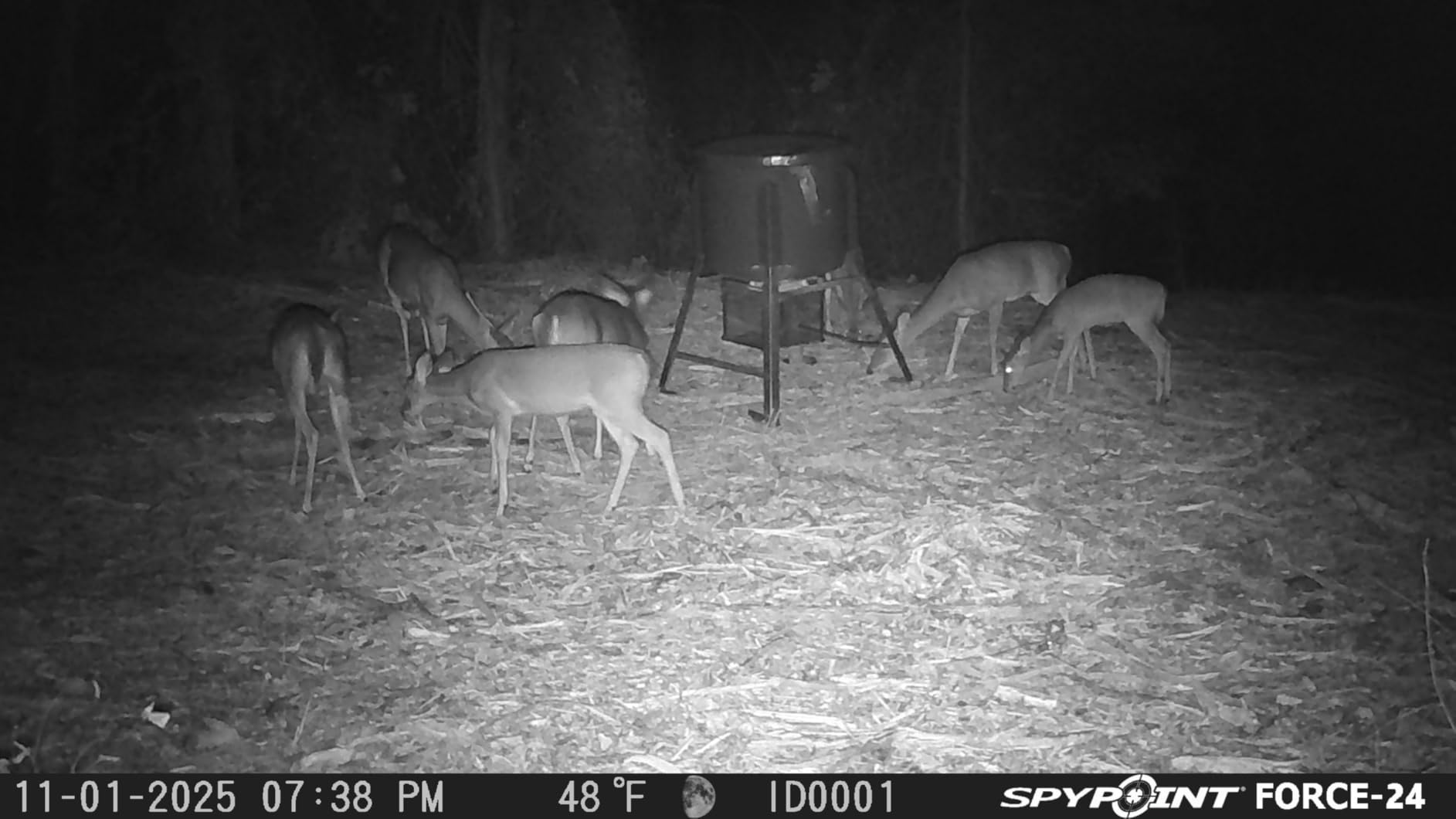 SPYPOINT FORCE-24 Twin Pack, No Cellular Trail Camera, LowGlow Night Vision customer photo 2