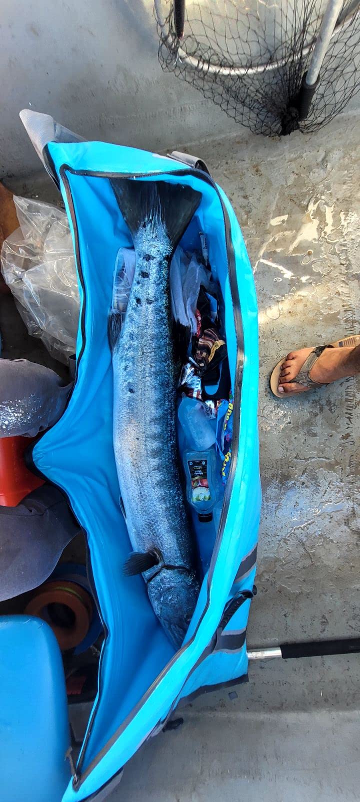 MORXPLOR Insulated Fish Cooler Bag for Fishing 41x17 47x17In 50x20In 60x24 72x30 80X40 Inches,Large Insulated Fish Kill Bag,Fishing Catch Bag Cooler with Water-resistant Zipper customer photo 2