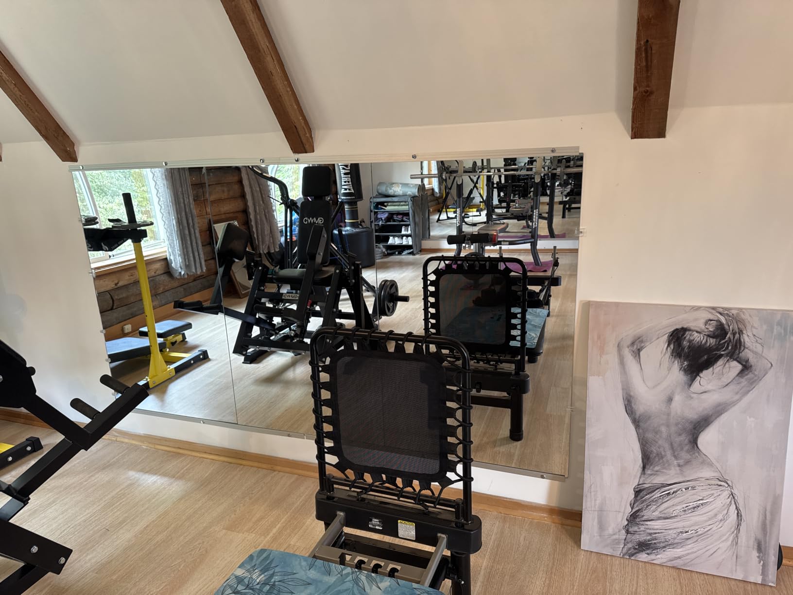 LOAAO Home Gym Mirror, 63