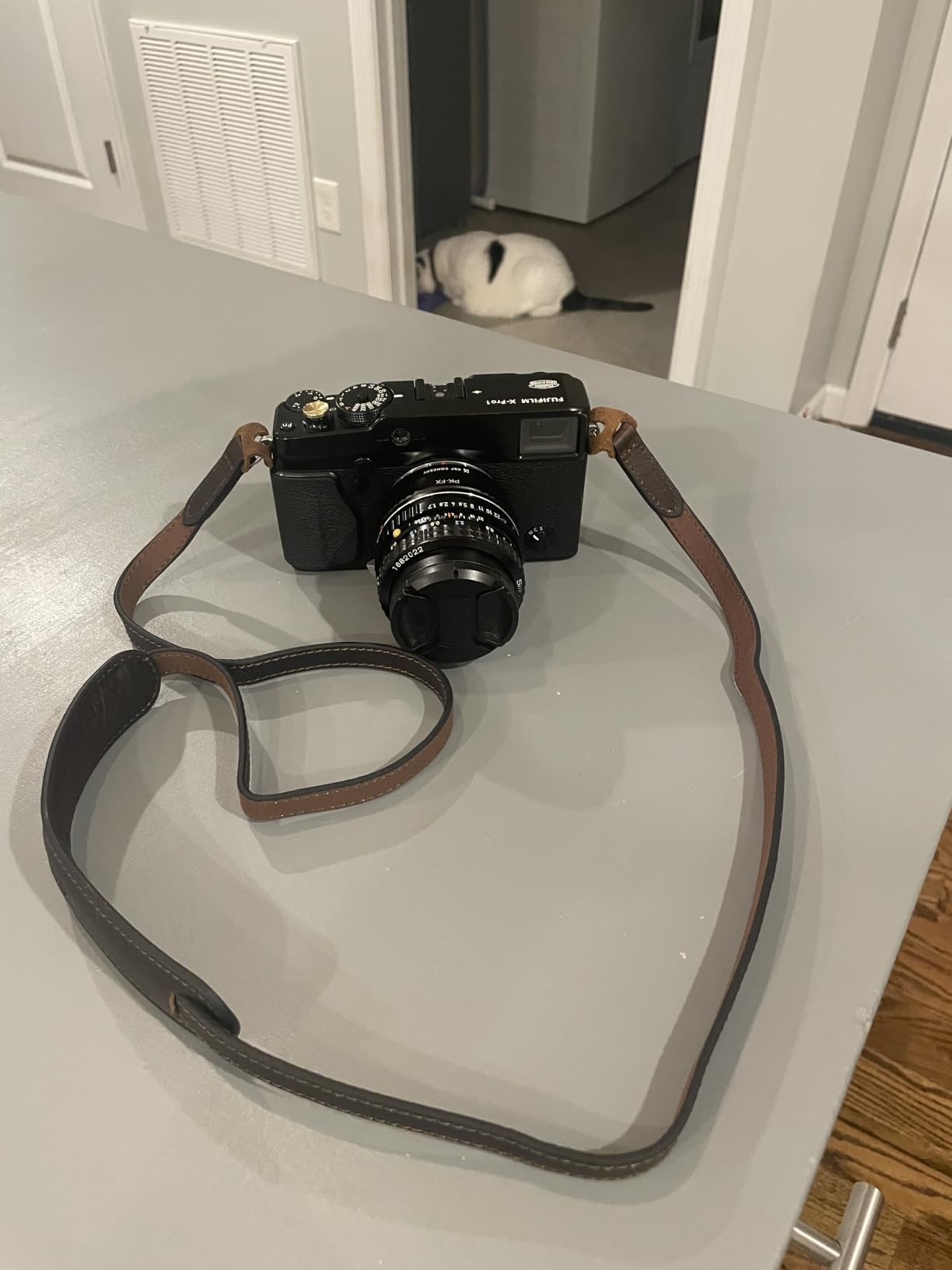 MUZIRI KIINOKOO Genuine Leather Camera Neck Shoulder Strap - Vintage Leather Shoulder Strap for Most of Digital Cameras - Retro Brown customer photo 2