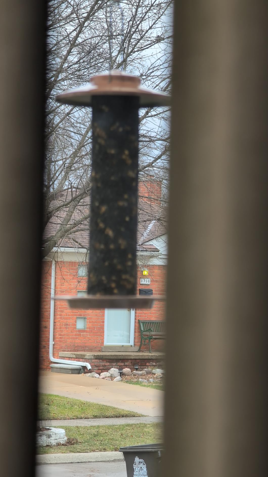 iBorn Peanut Bird Feeder,Sunflower Seed Feeder,13.5 Inch Metal Mesh Tube Bird Feeders for Outdoors Hanging,Squirrel Proof Birdfeeders for Peanut with 17cm Weatherproof Roof & Tray,2 LB Capacity,Green customer photo 2