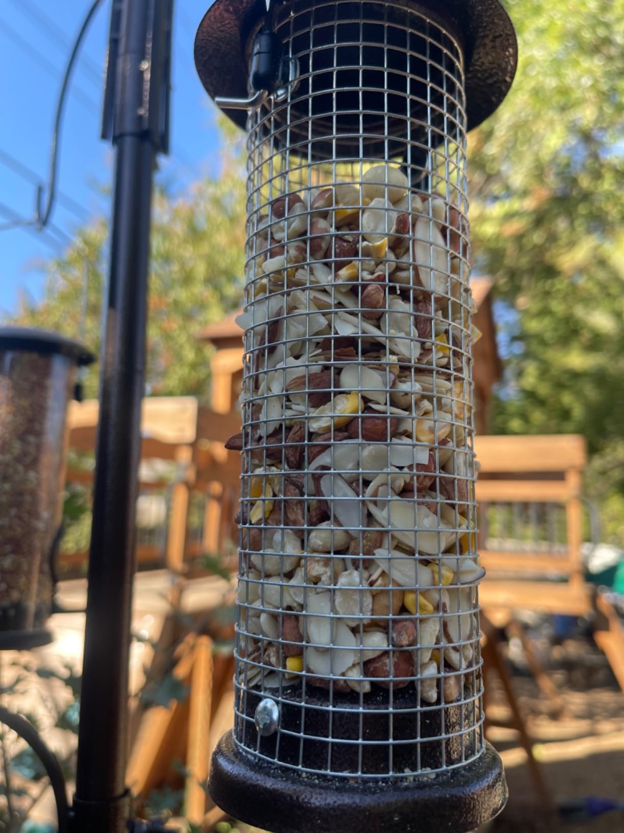 Morning Song Clean & Free No Mess Wild Bird Seed - 12 lb. | Shell-Free Bird Food with Sunflower Chips, Peanuts & Canary Seed - No Waste Bird Food for Outside Feeders customer photo 1