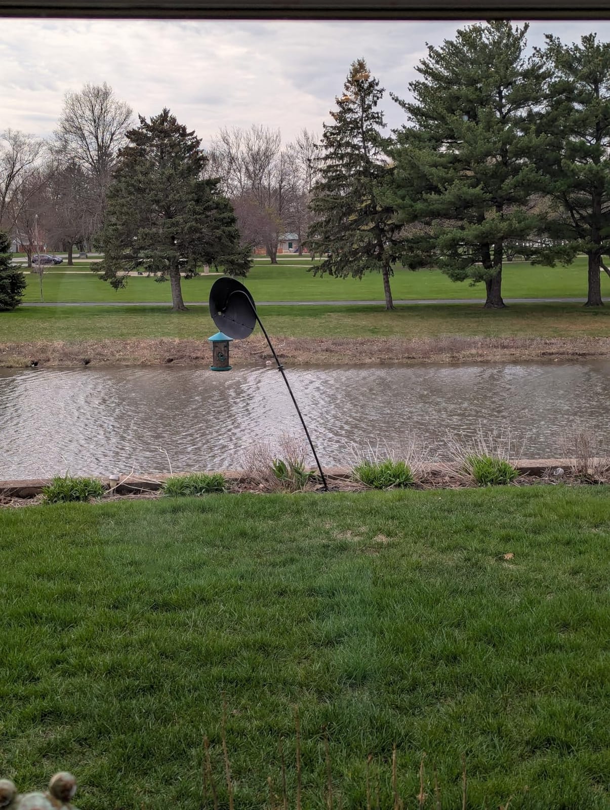 Gtongoko 92'' Shepherds Hook Bird Feeder Pole with 19'' Squirrel Baffle customer photo 2