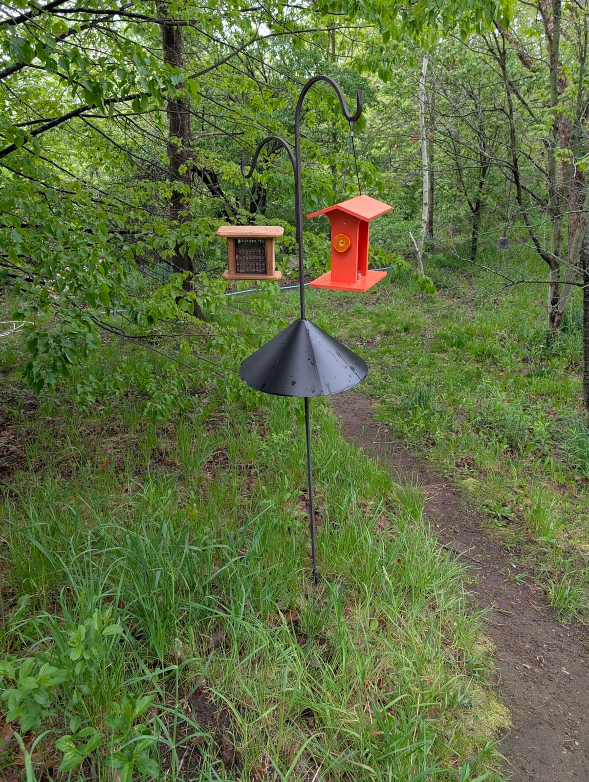 Oriole Feeder for Outdoors Hanging with Gift Box, Durable HDPE Plastic Oriole Jelly Feeder w/Fruit Holder & 6oz Glass Bowl, Bird Feeder for Orioles for Garden, Patio, Backyard customer photo 1