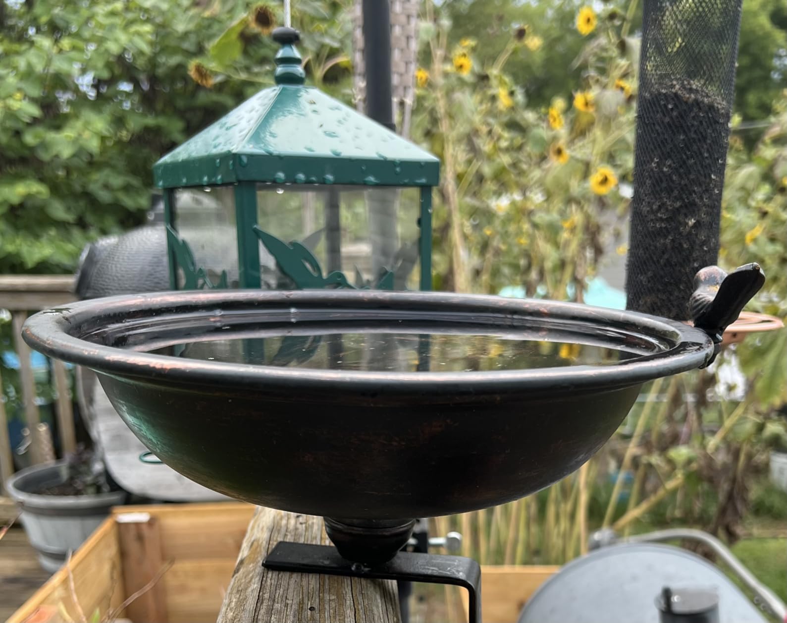 12 Inch Deck Mounted Bird Bath & Bird Feeder for Deck Railing, Clip On | Clamp On Bird Feeder, Porch Bird Bath, Fence Mount Railing Bird Feeder, Patio Garden, Rust Resistant Solid Metal 2-in-1 customer photo 1