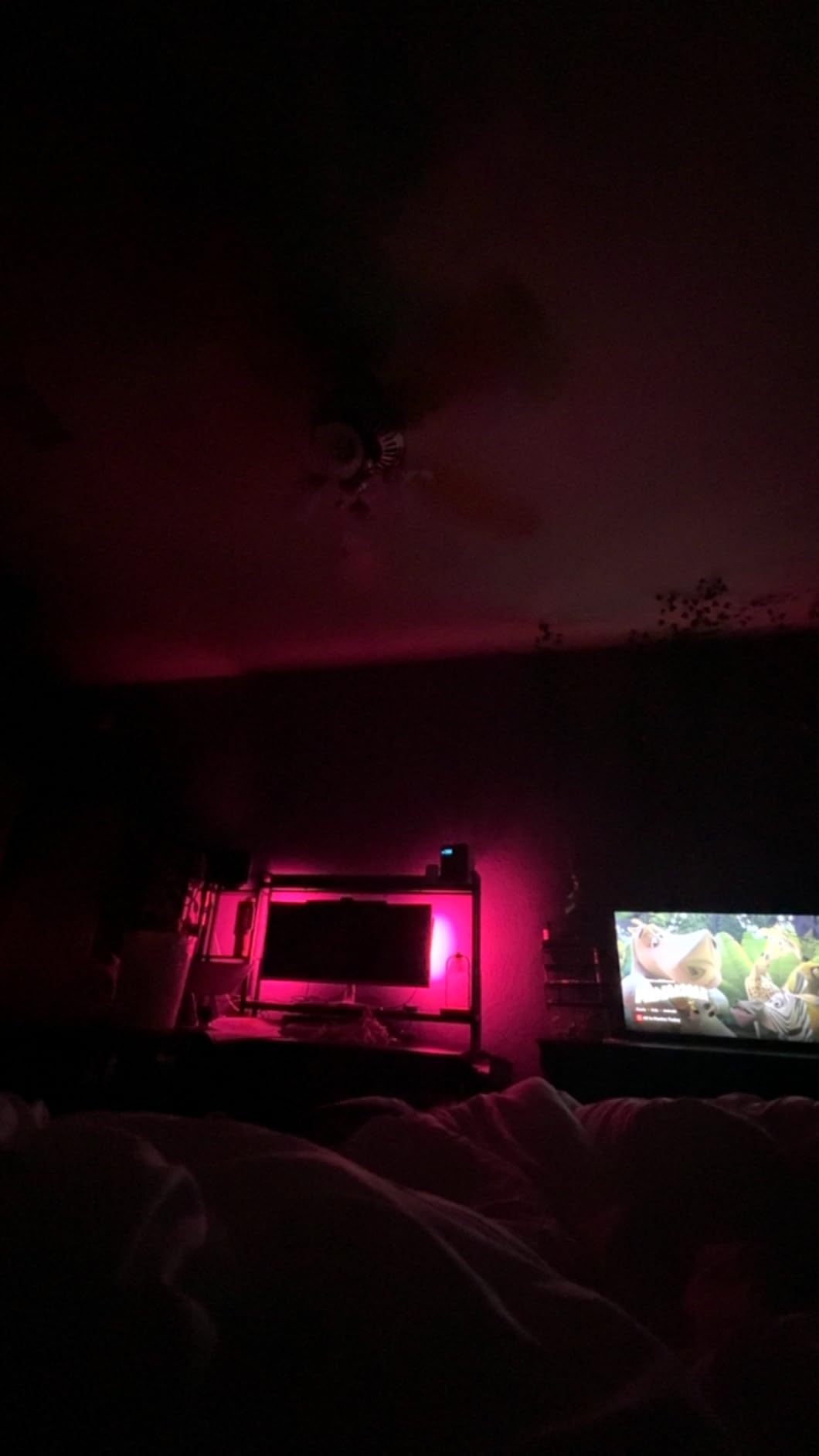 Govee Star Projector Lights, 7-Zone Nebula Effect, Compatible with Matter | 540ft² Coverage, LED Night Lights for Bedroom, 50+ Scenes, 18 White Noise, Room Decor, Gifts for Kids, Sleep Lamp customer photo 2