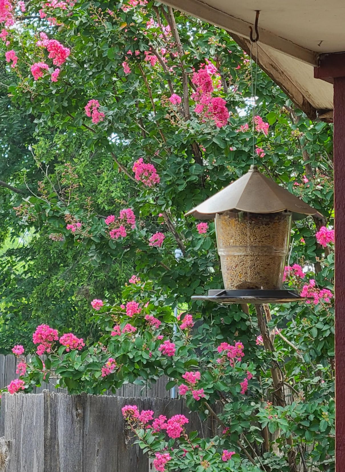 Audubon Park Waste Free Wild Bird Seed, 12 lb | No Mess Blend with Sunflower Hearts & Peanut Pieces - Bird Food for Outside Feeders customer photo 2