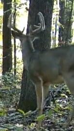 Moultrie Edge 3 Cellular Trail Camera - 2-Pack, 40MP, 0.5s Trigger customer photo 1