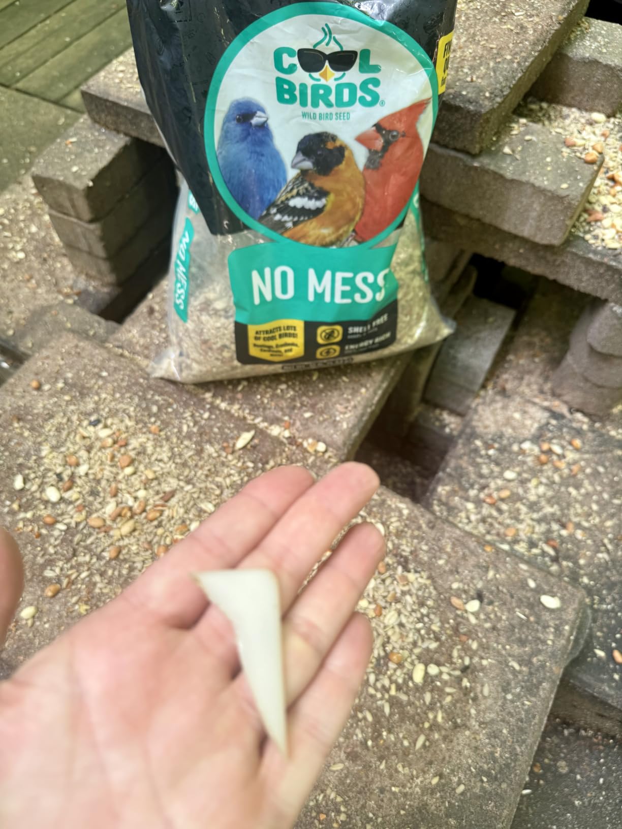Cool Birds No Mess Wild Bird Seed, 10 lb | 100% Edible Shell-Free Blend of Sunflower Hearts, Peanuts, Tree Nuts, Pumpkin Seed & Real Fruit customer photo 2