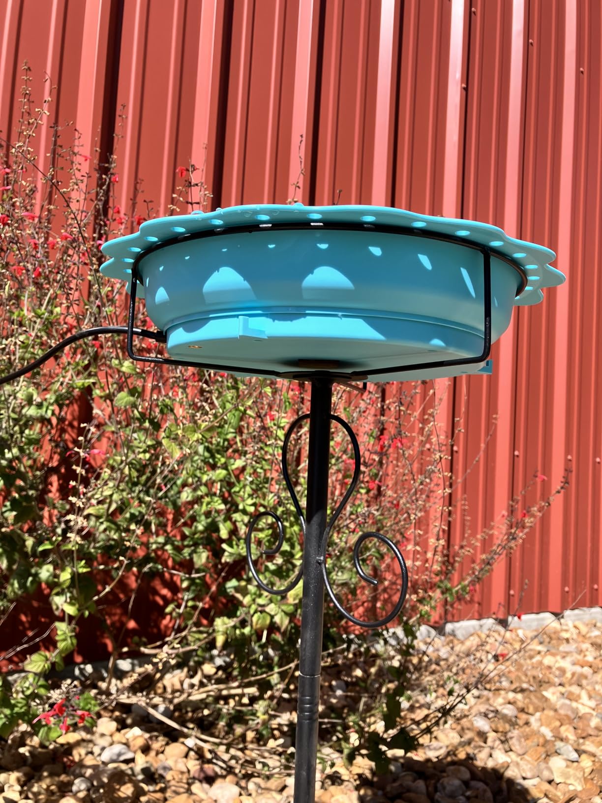 Heated Bird Baths for Outdoors, 100W Heated Birdbath Outside Winter, Gray | Auto Thermostat Control, Large Capacity, Easy Cleaning, 5-Prong Metal Base, Longer Power Cord, Garden Yard Patio Lawn Decor customer photo 1