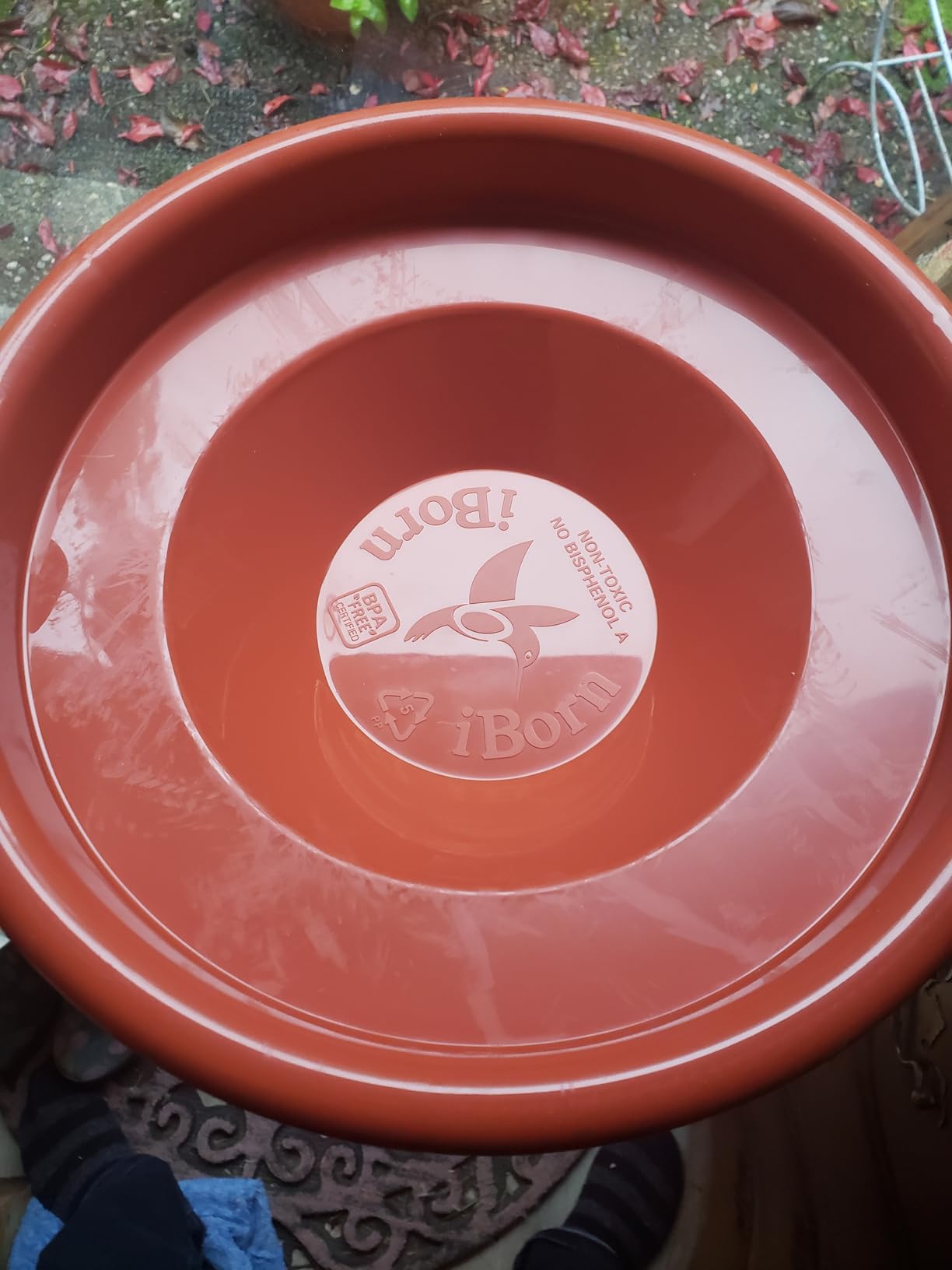 iBorn Bird Bath, Deck Mounted Bird Baths 12inch, Birdbath for Outside with Clamp 3.2inch, BPA-Free Bowl, Chew-Proof, Fully Detachable Design, Easy Clean & Refill, Terracotta customer photo 2