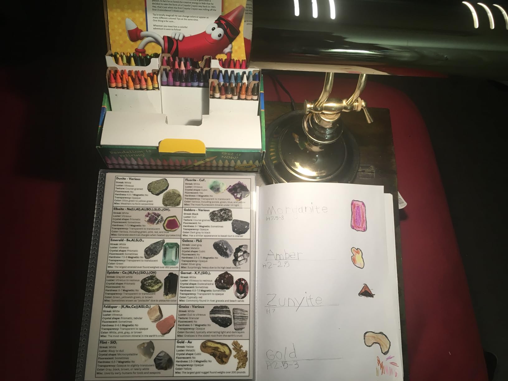 Rocks and Minerals of the United States Identification Field Guide | Waterproof | Easily Find & Identify Crystals, Gems, Geodes, and Rocks | Ideal for Rockhounds, Hikers, Beginners & Kids customer photo 2
