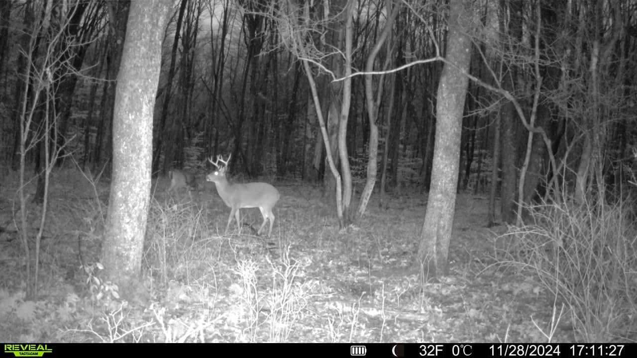 TACTACAM Reveal X 3.0 2-Pack Cellular Trail Camera customer photo 1
