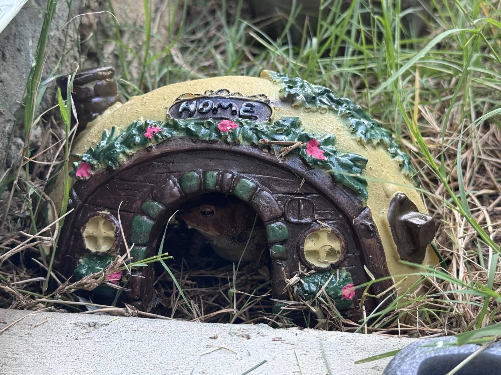 Toad Frog House for Outdoor Garden Reptile Amphibian Hide Cave Tank | Irregular camouflage mossy stone shelter, fits turtle tarantula crab leopard geckos, small reptiles humid hideout accessories customer photo 1