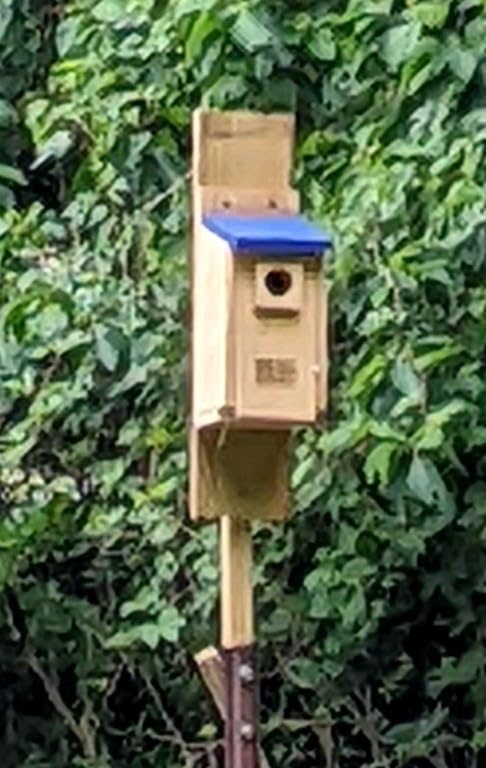 Made in USA,Rustic Cedar Bird Houses with Solar Camera,Durable Bird Houses for Outside w/Predator Guard,Easy-to-Install Bird Box for Bluebirds, Chickadees and More - Applewood Outdoor customer photo 1