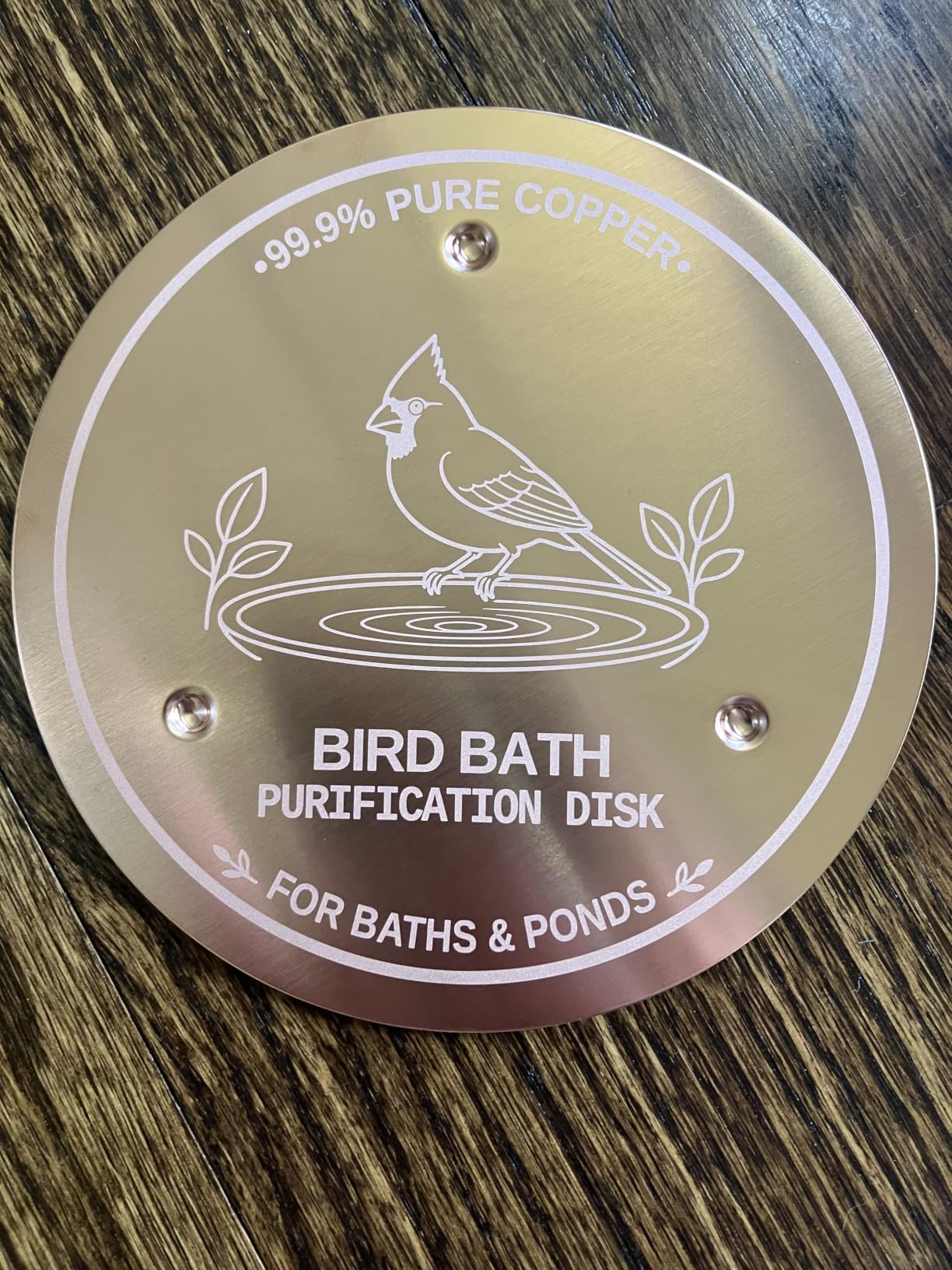 Copper Disc for Bird Bath, 99.9% Pure Copper (Cardinal) customer photo 2