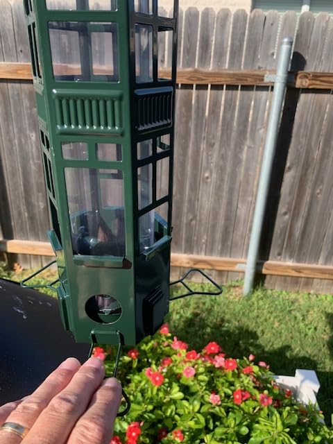 Squirrel Proof Bird Feeders for Outdoors - 4 Port Hanging Metal Bird Feeder with Gravity Spring, Upgraded Metal Hanging Ring Design, Chew-Proof & Weather Resistant, Attract Wild Birds, Green customer photo 2