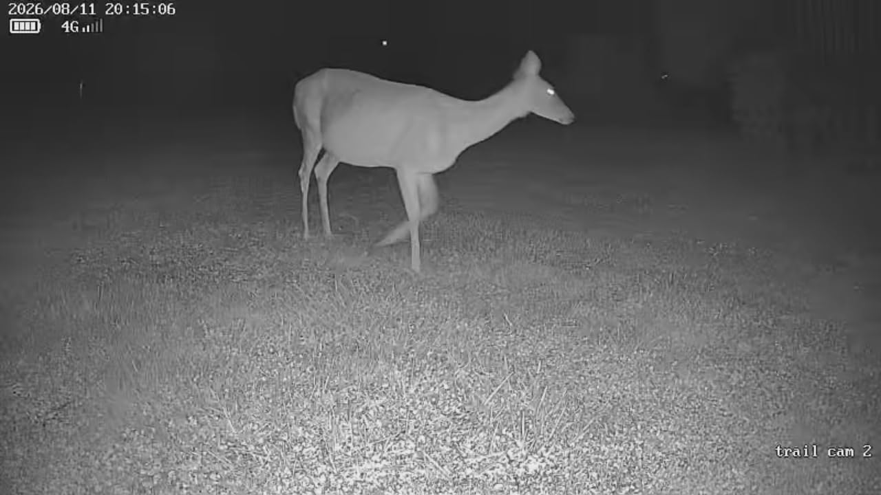 4G LTE Cellular Trail Camera, 2.5K 360° Live Feed with SIM Card Included customer photo 1