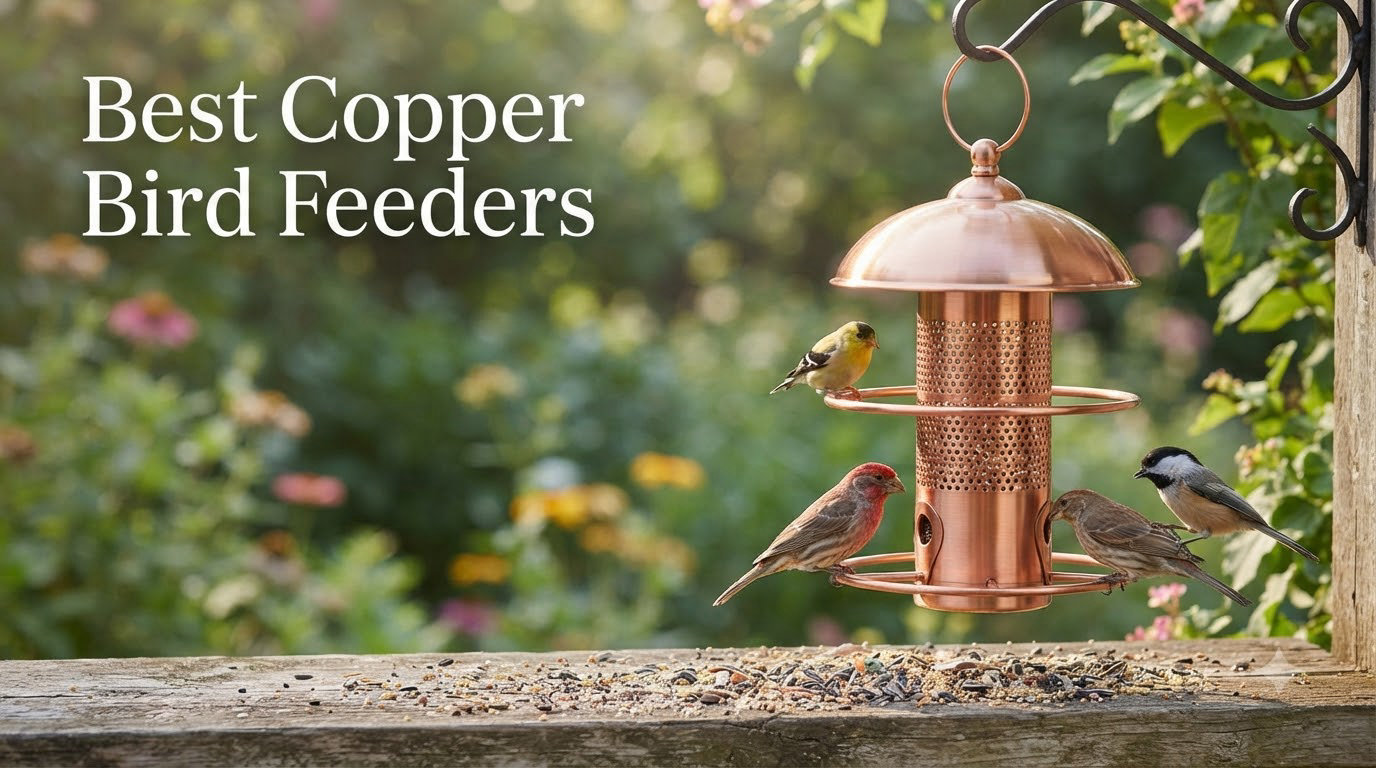 Best Copper Bird Feeders