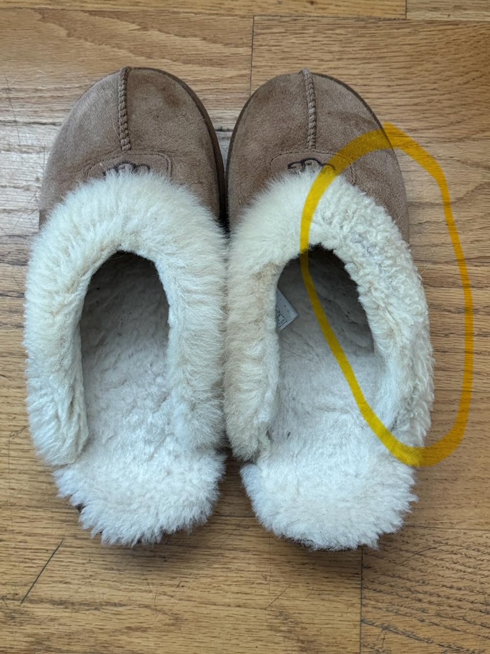 UGG Women's Coquette Slipper customer photo 2
