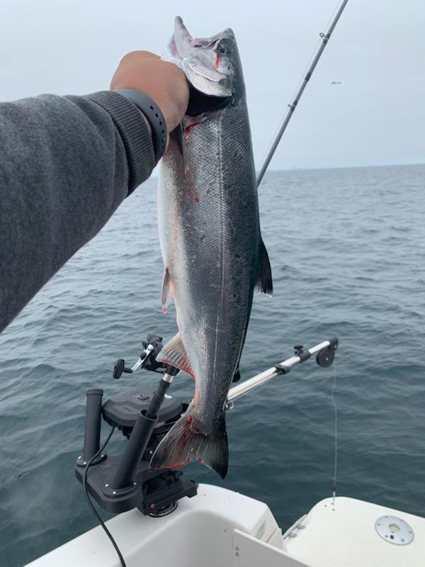 Scotty #1116 Propack Depthpower Downrigger (36″-60″) customer photo 1