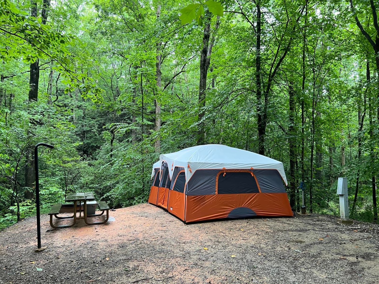 CORE Tent for Family Camping | 10 Person / 11 Person / 12 Person Large Multi Room Cabin Tents for Car Camping & Outdoor Adventures customer photo 1