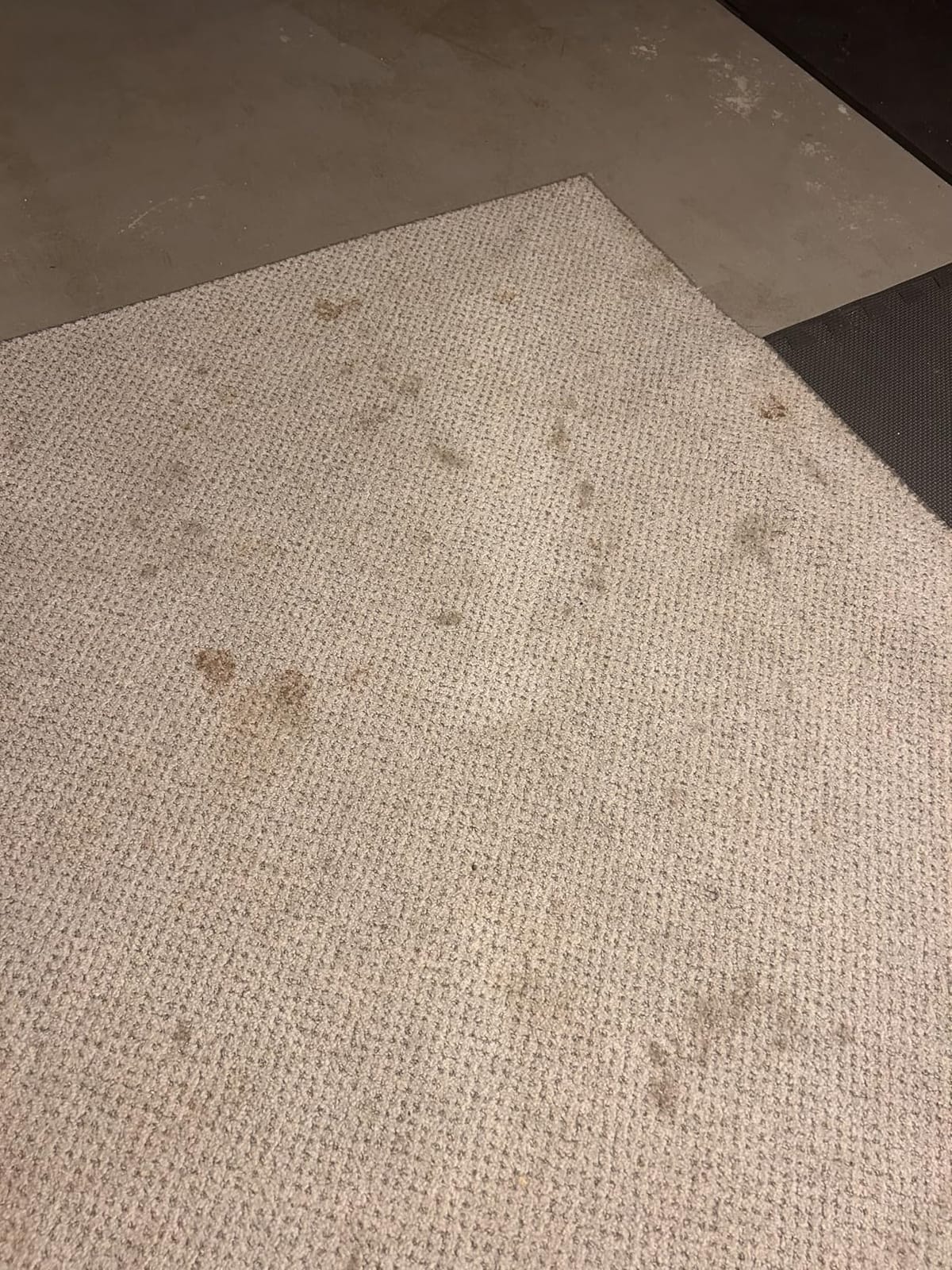 Hoover CleanSlate Plus Portable Carpet + Upholstery Spot Cleaner Machine customer photo 1