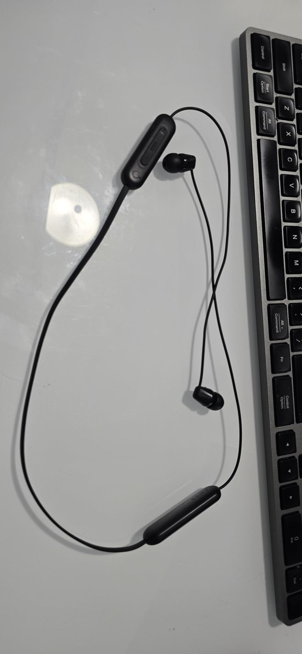 Sony WI-C100 Wireless in-Ear Bluetooth Headphones with Built-in Mic, Black customer photo 2