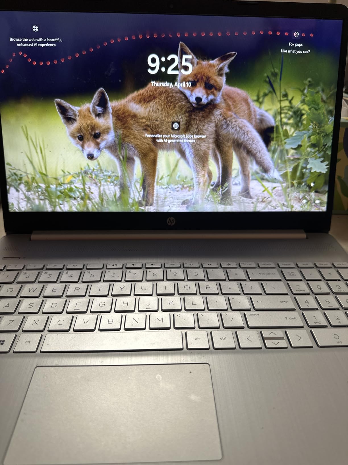 HP 15 inch Laptop, HD Display, AMD Ryzen 5 5500U, 8 GB RAM, 256 GB SSD, AMD Radeon Graphics, Windows 11 Home, 15-ef2099nr (2023) customer photo 2