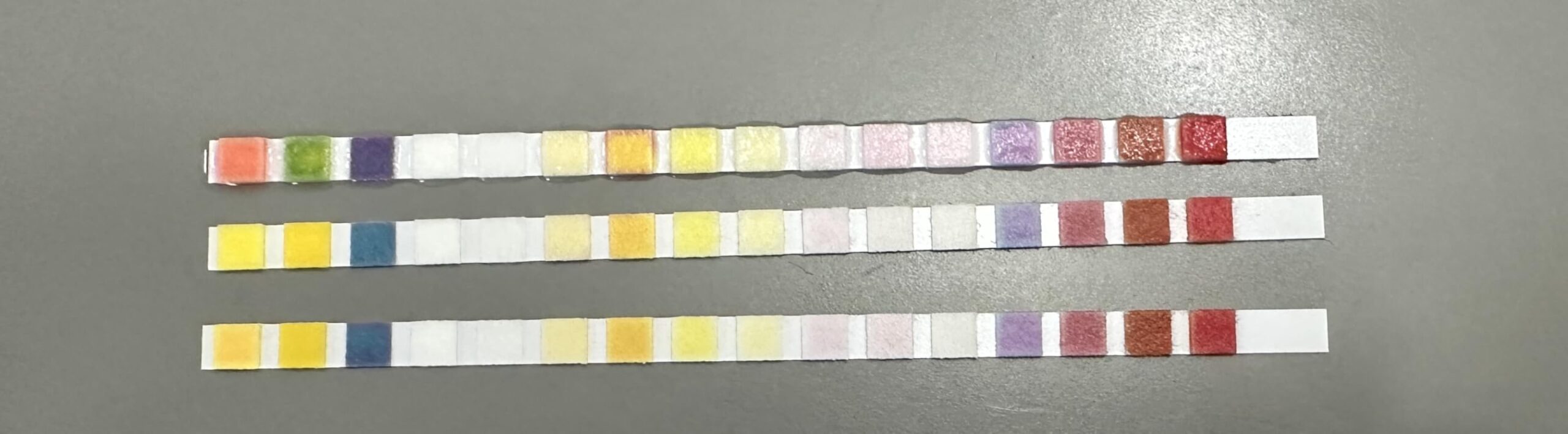 AAwipes Drinking Water Test Strips 17 in 1 50 Strips + 2 Bacteria Tester Kits, Complete Water Testing Kits for Home, Well, Tap Water, City Water, Flood Water Testing Strips (K03-50) customer photo 2