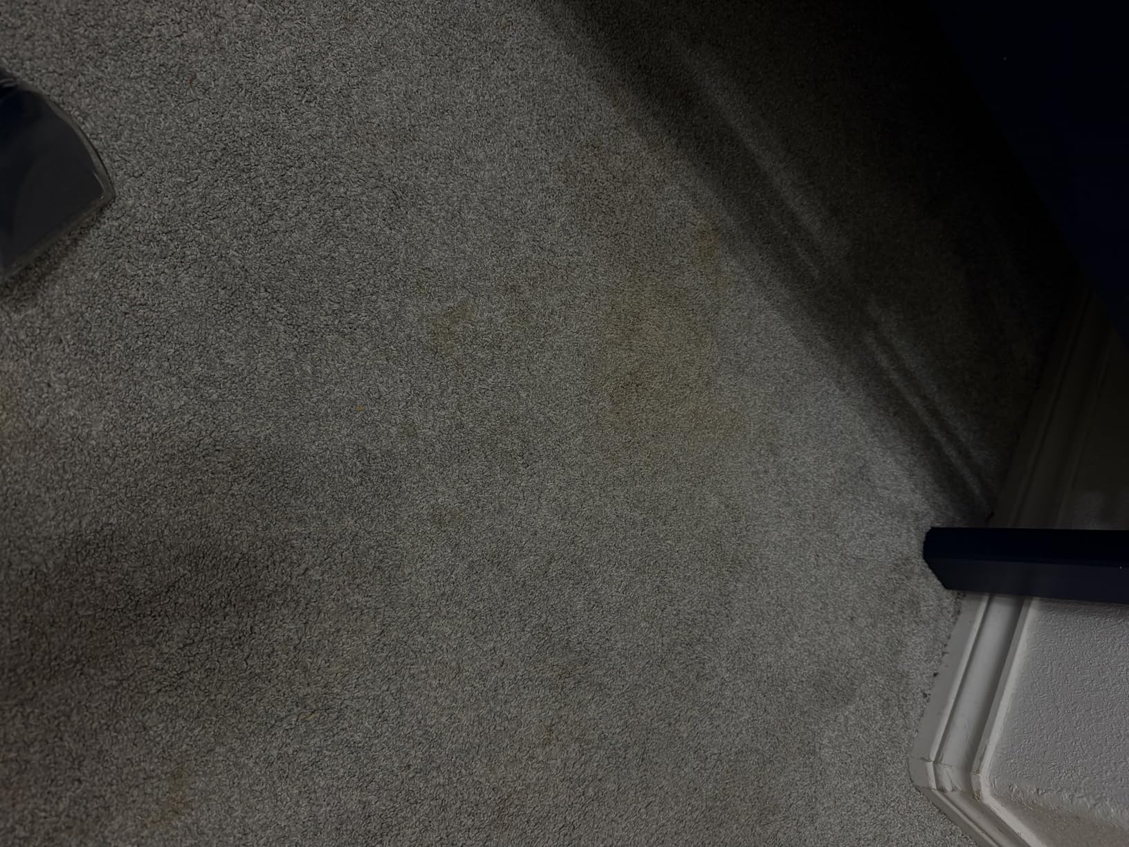 Vacmaster 400 Series Portable Carpet & Upholstery Spot Cleaner Machine customer photo 1