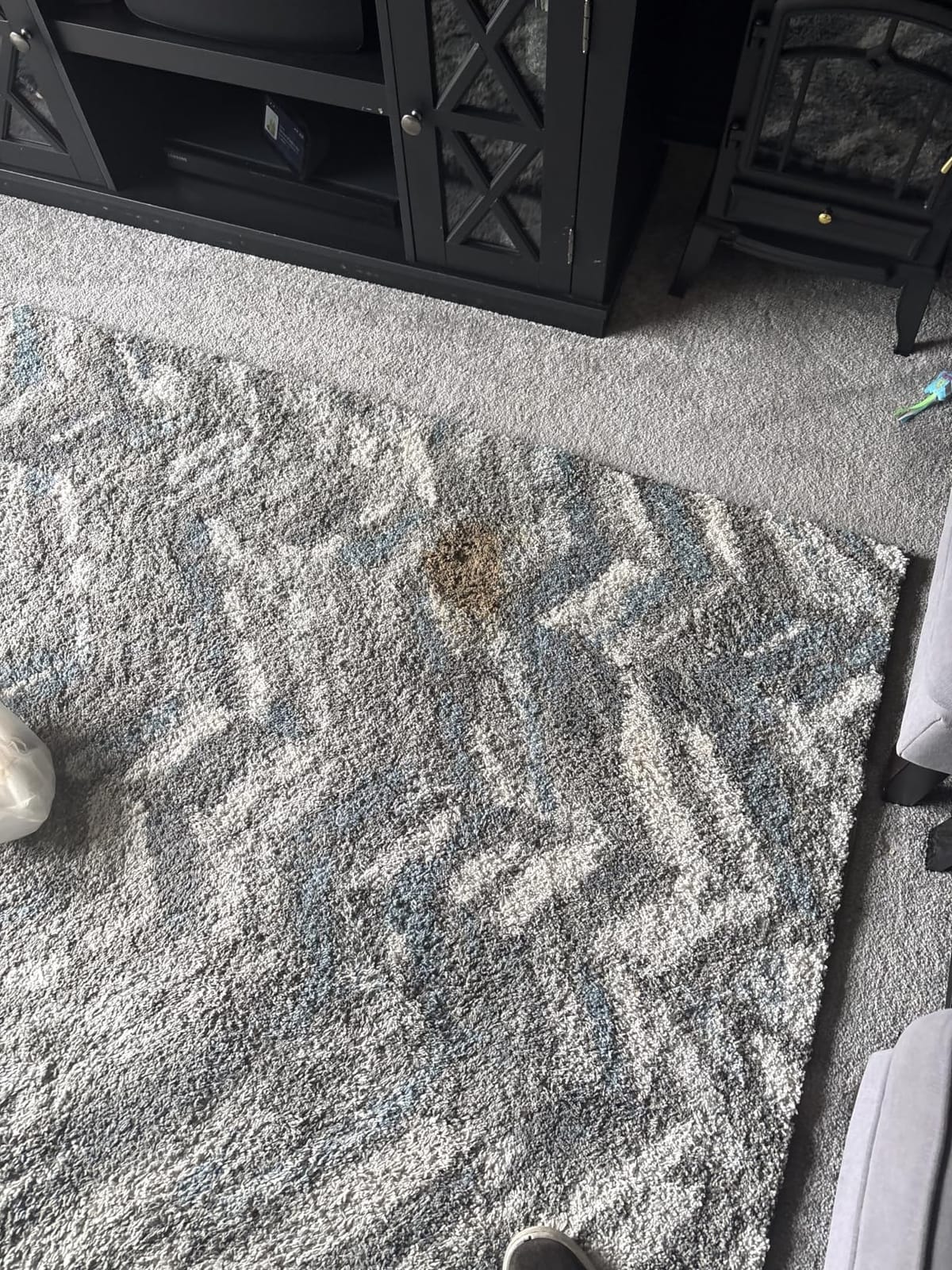 BISSELL Little Green Mini Portable Carpet Cleaner, 4075 customer photo 2
